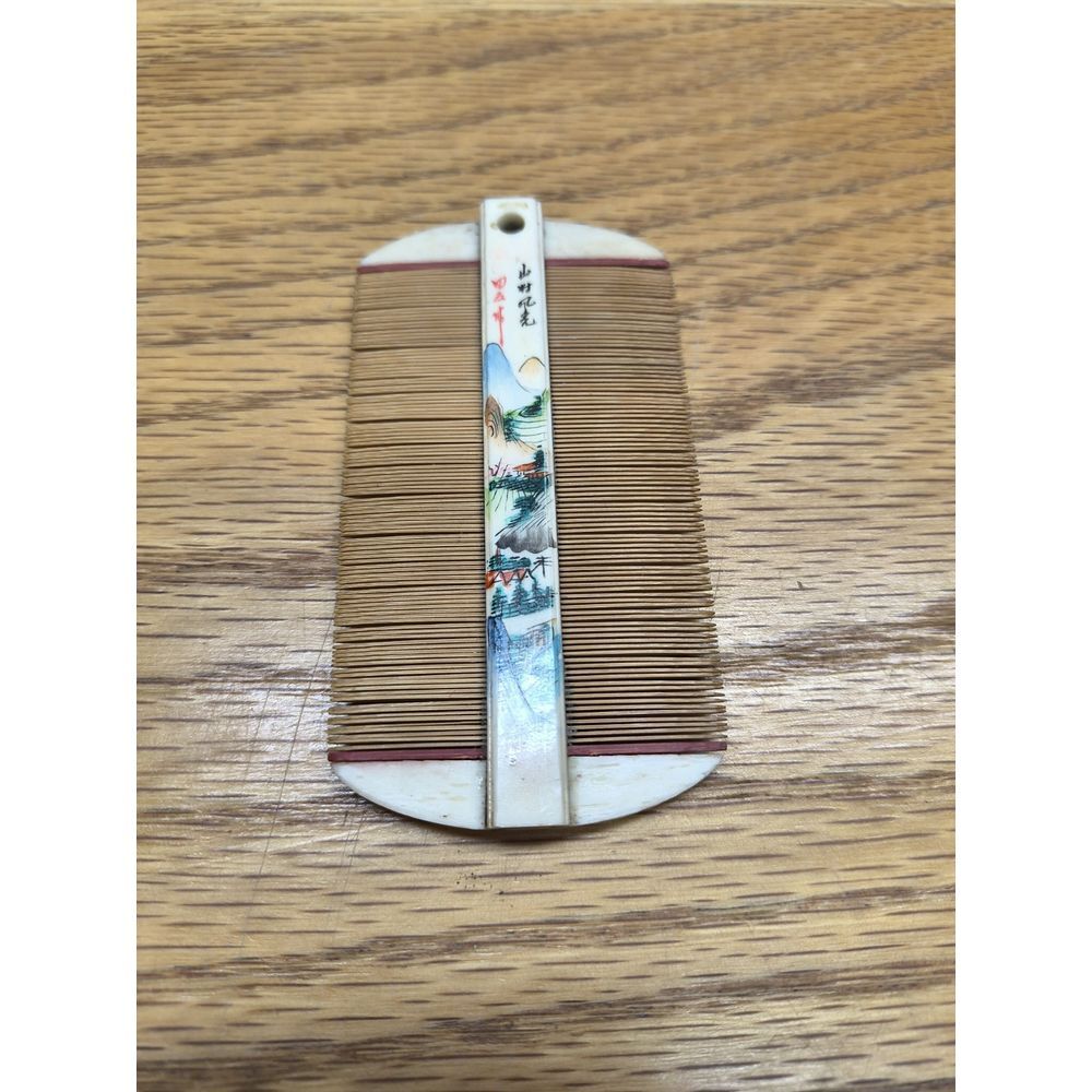 Vintage Hair Comb‎ Pin Brush Double Sided China Painted Complete